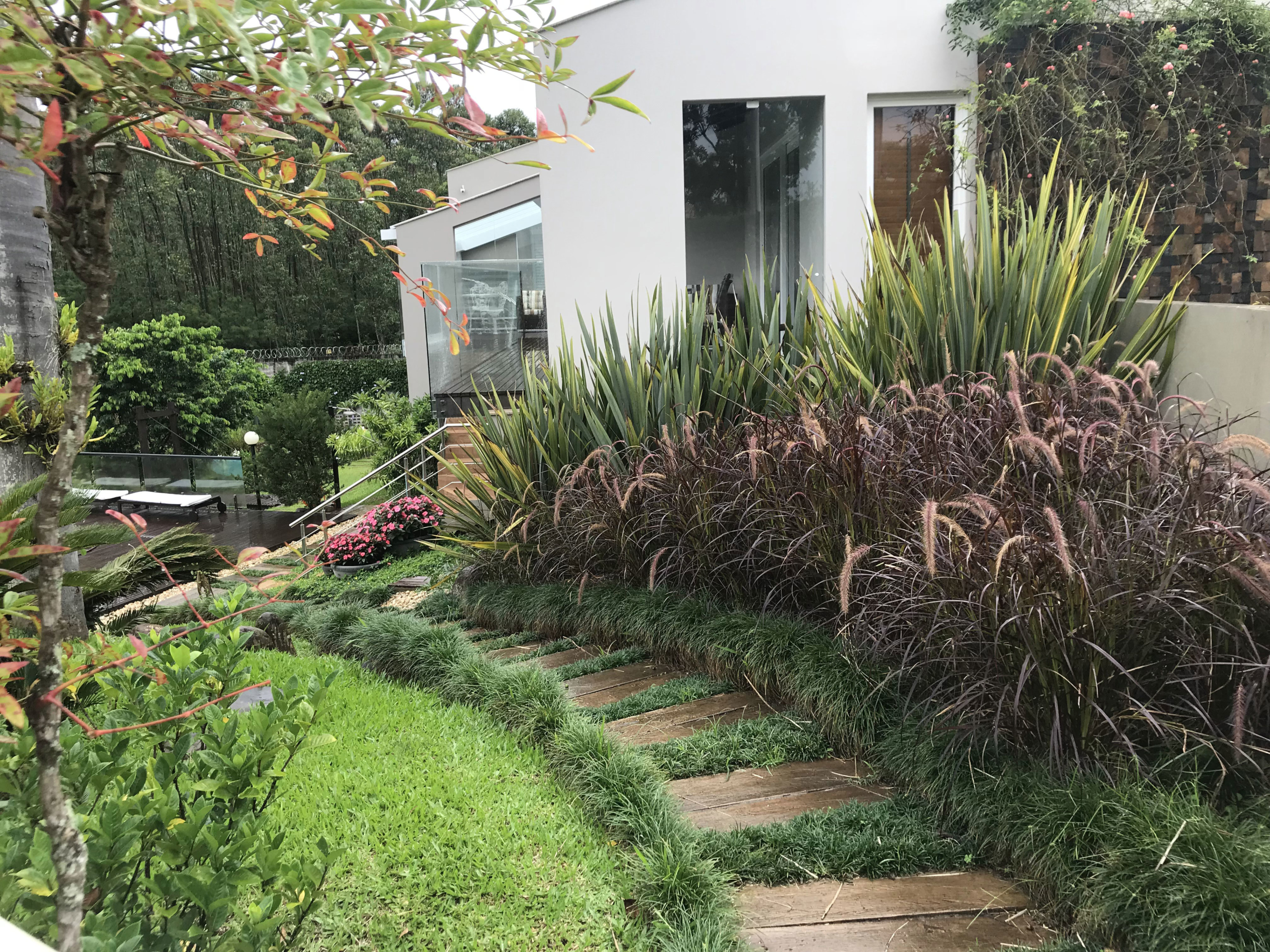 Jardins de baixa manutenção