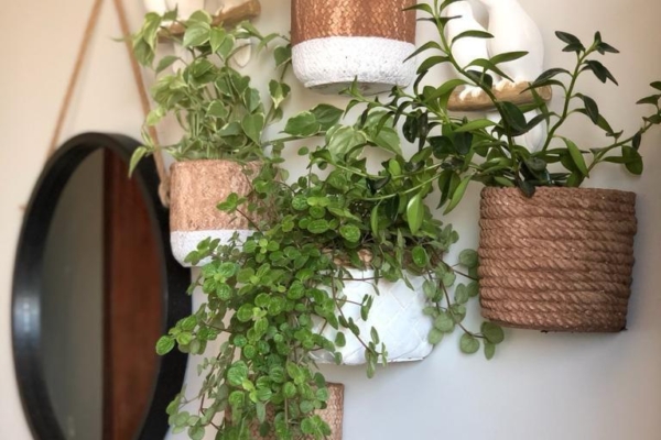 photo_2020-09-10_14-01-28